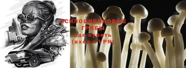 спайс Баксан
