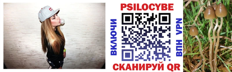 Галлюциногенные грибы Magic Shrooms  где можно купить наркотик  Приозерск 